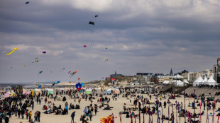 Four badly hurt after car hits crowd at French kite festival