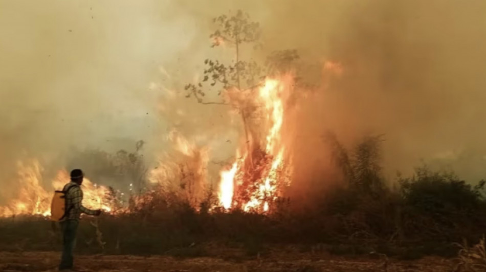 Nel Paraguay in fiamme 84 mila ettari di foresta primaria