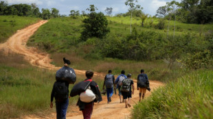 "Operación Éxodo": mineros ilegales huyen de la Amazonía brasileña