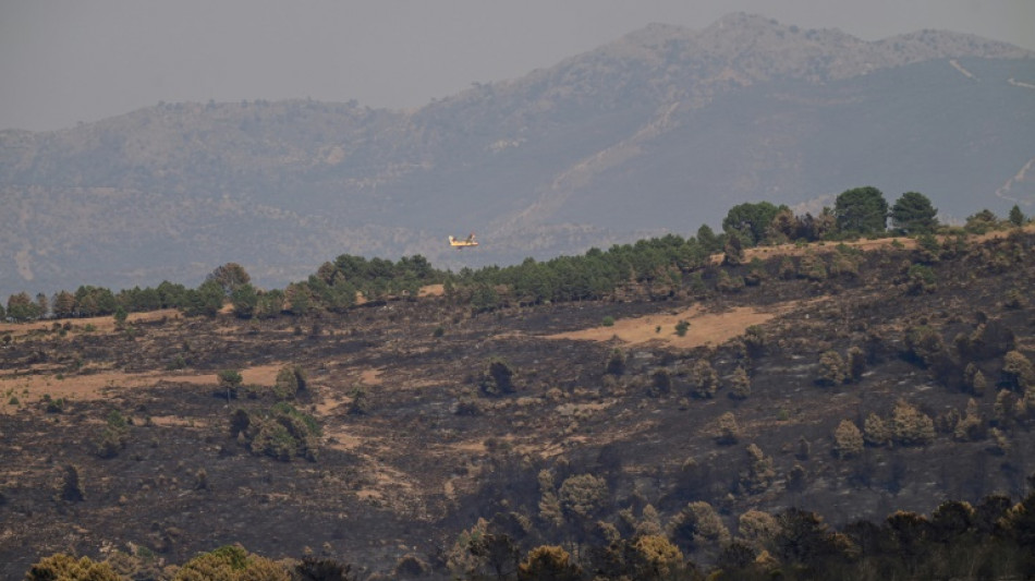 Mejora la situación de los incendios en España