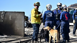 A Los Angeles, la recherche de victimes se poursuit même à cheval