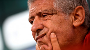 El seleccionador portugués Fernando Santos pierde un litigio con el fisco