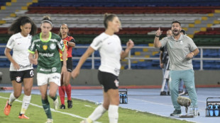 Campeão da Libertadores no Palmeiras, Ricardo Belli assume seleção feminina da Venezuela