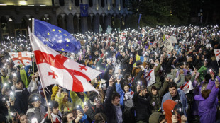 Ue, 'al fianco dei georgiani, Tbilisi ritiri la legge'