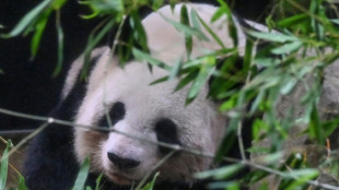 Plusieurs milliers de Japonais disent au revoir à deux pandas rejoignant la Chine