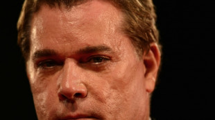 'Goodfellas' actor Ray Liotta dead: US media