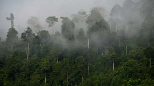 World 'failing' on pledge to stop deforestation by 2030