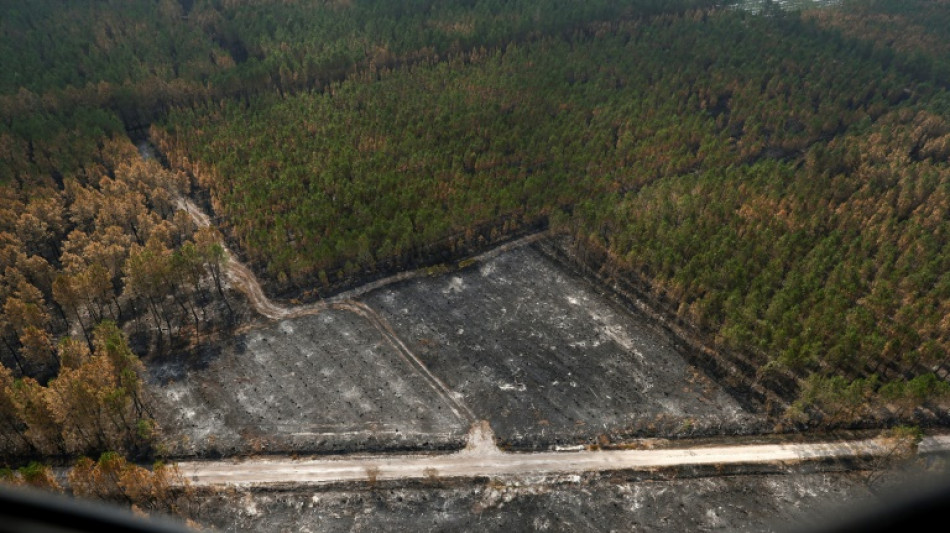 Incendies en Gironde: le feu de Landiras "désormais fixé" 