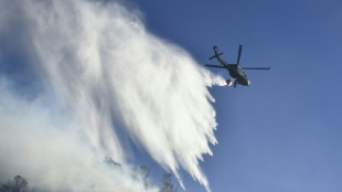 Colombie: une vingtaine d'incendies de forêt en pleine vague de chaleur