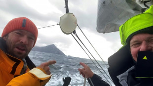 Voile: au cap Horn, "des conditions un peu animales" pour Pilliard et Pella