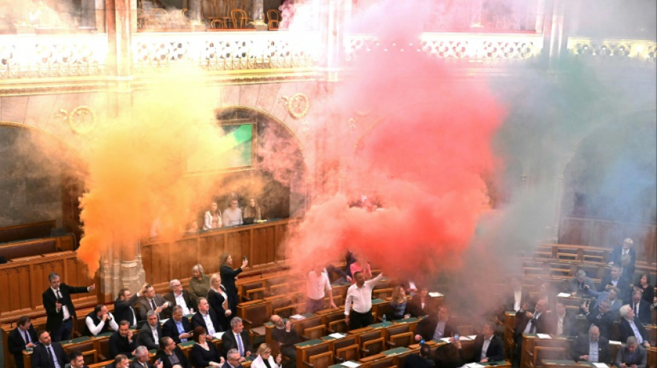 Hungary passes bill against annual Budapest Pride march