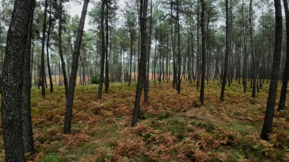 L'UE finalise un texte-clé sur la biodiversité, l'agriculture fait débat