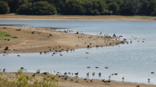 2022 set to be UK's hottest year on record