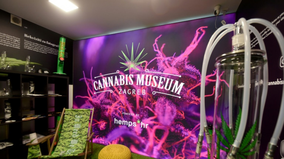 "Bienvenue au paradis": le premier musée croate du cannabis