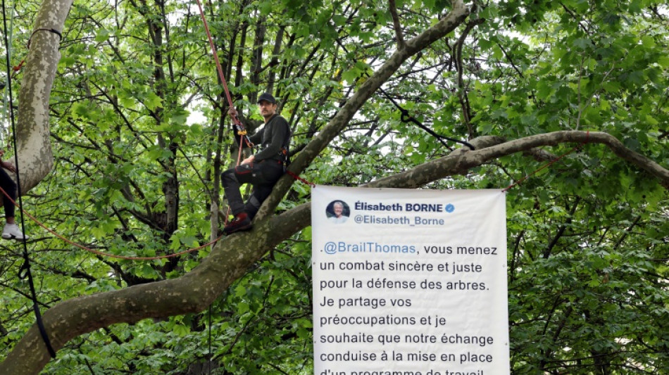 Tour Eiffel: reçu par le gouvernement, le militant pro-arbres descend du platane