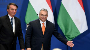 Luego de Putin, Bolsonaro se reúne con el primer ministro húngaro, Orban