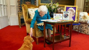 Orphelins, les fameux corgis d'Elizabeth II adoptés par son fils Andrew