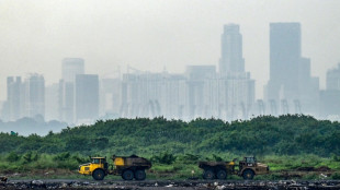 Singapore races to save 'Garbage of Eden'