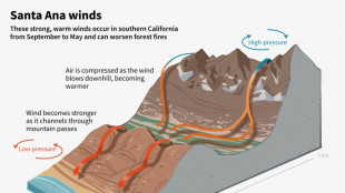 Fueling the Los Angeles fires: the Santa Ana winds