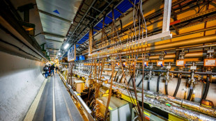 Rund 500 Forscher von Cern-Kooperationsstopp mit Russland betroffen