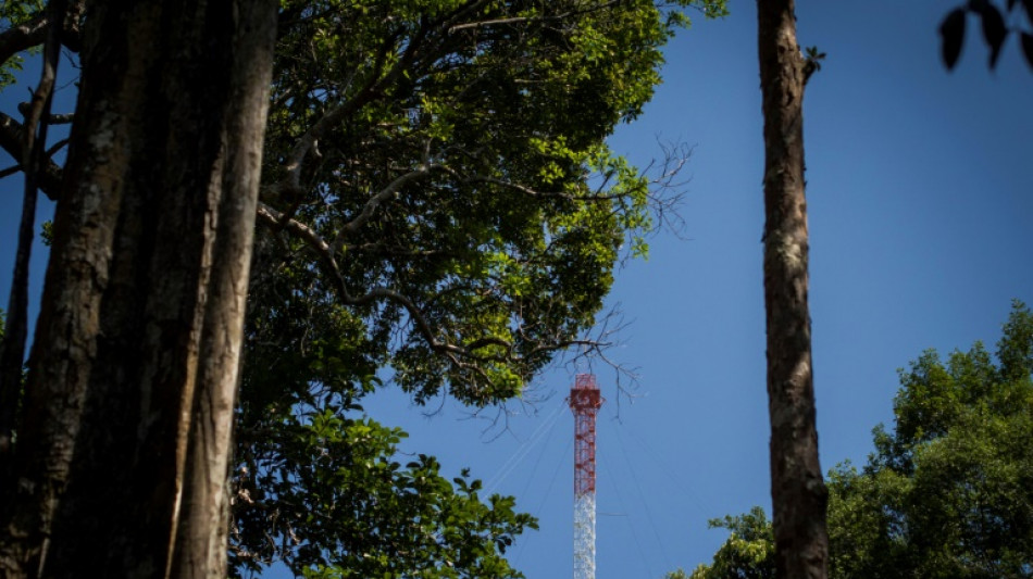 Deutschland gibt 35 Millionen Euro für Brasiliens Amazonas-Schutzfonds frei