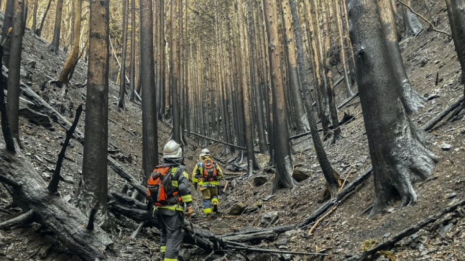 La lluvia frena el avance del peor incendio forestal de Japón en medio siglo