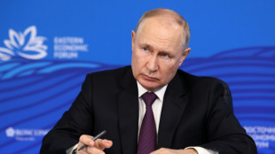 Putin pospone a "fin de año" el posible anuncio de su candidatura a la reelección