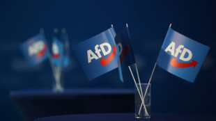 Landesverfassungsschutz darf AfD in Baden-Württemberg vorerst weiter beobachten