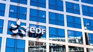 EDF lance un "plan hydrogène" pour devenir un des leaders européens du secteur d'ici 2030