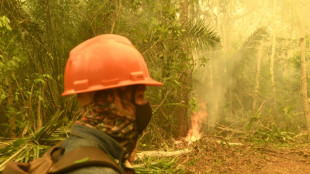 Entre el humo y la sed, Bolivia combate el fuego que devora sus bosques