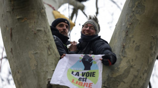 A69: audience "cruciale" à Toulouse, rassemblement d'opposants