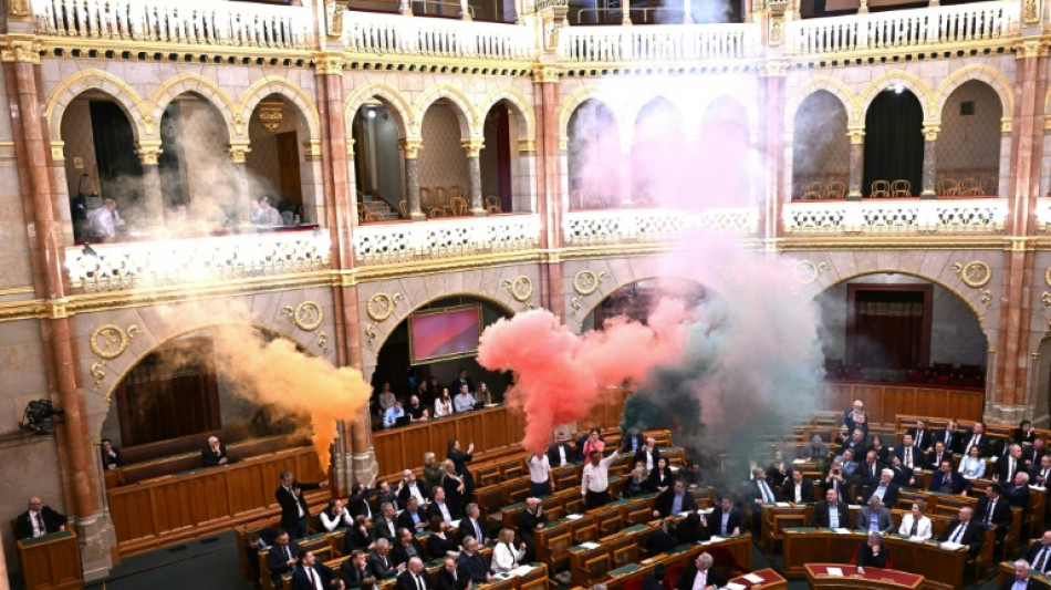 El Parlamento húngaro vota una ley para prohibir la Marcha del Orgullo