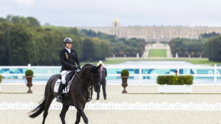 Para-Dressur: Bronze für deutsches Team