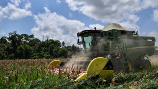 Brasil, a punto de volverse el mayor exportador mundial de maíz