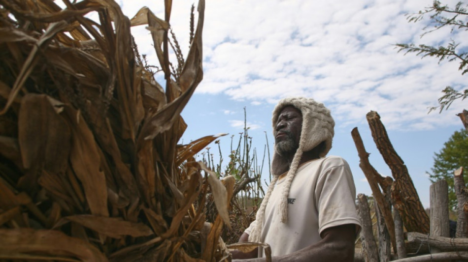 Seca deixa milhões de pessoas sem alimentos no Zimbábue