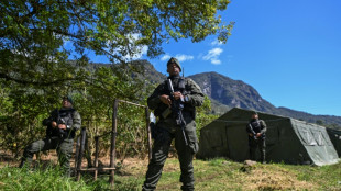 'Fracasso' da paz na Colômbia aumenta desmatamento (ONG)