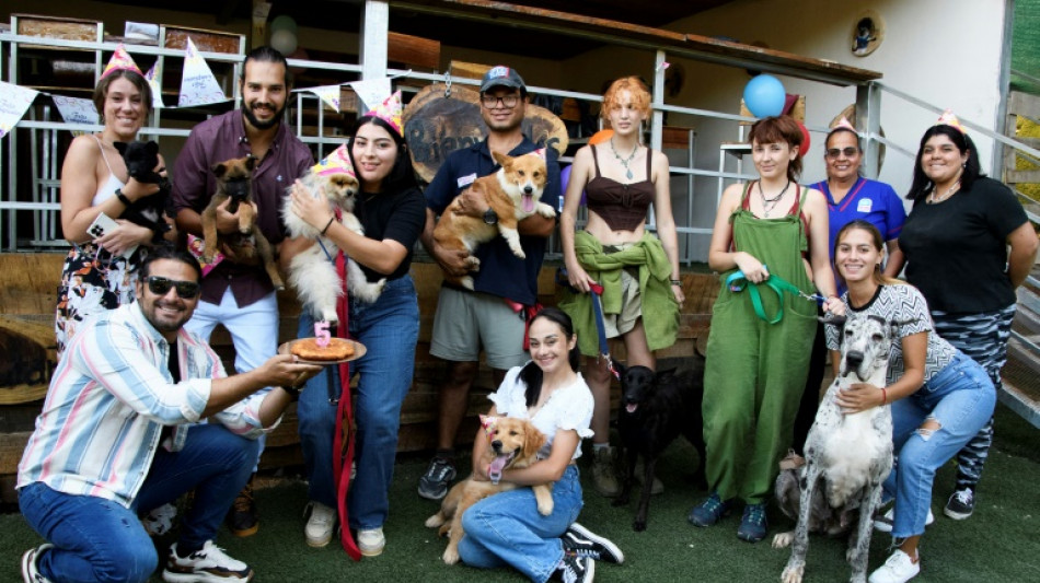 Restaurante para perros de Costa Rica es "amigable con humanos"