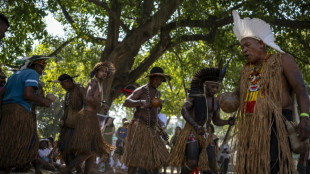 Brazil's Indigenous people hail return of sacred cloak