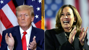 Harris or Trump? US election heads for cliffhanger