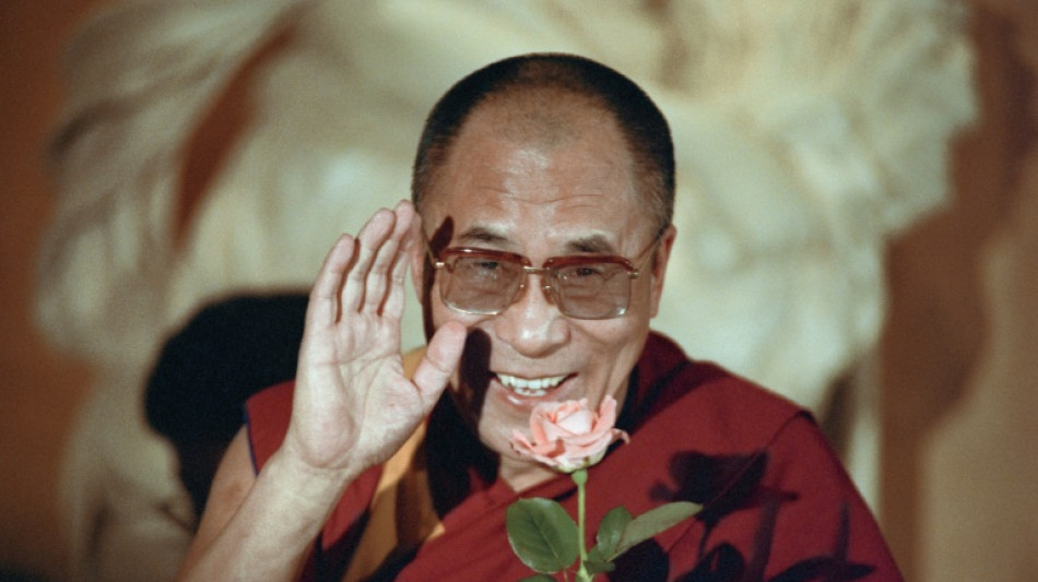 Dalai Lama book offers 'framework' for after his death