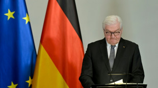 Steinmeier ruft zu Solidaritätsaktionen für Ukraine auf