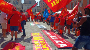 Al via lo sciopero dell'automotive, metalmeccanici in piazza