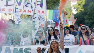 Fiesta y reclamos en la marcha del orgullo LGBT en Argentina