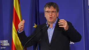 Puigdemont, 'so cosa devo fare e che mi aspetta il carcere'