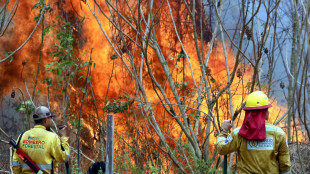 Bolivia, a Santa Cruz le fiamme devastano 5milioni di ettari