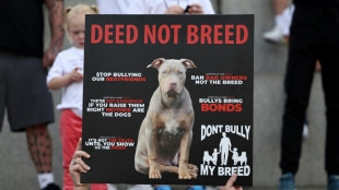 UK govt bans American XL bully dogs after fatal attacks