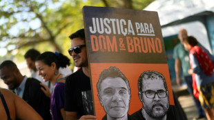 Brazil must act on probe into UK journalist's murder: media watchdog