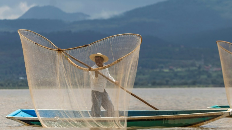 En México, rescatan el lago de Pátzcuaro con peces blancos y limpieza de manantiales