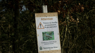 Avec les hivers doux, l'inquiétante progression des chenilles urticantes en France