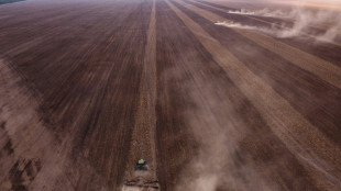 Um guia sobre o Cerrado, a caixa d'água do Brasil